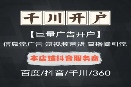 百度SEO推广公司案例精选：助力企业快速崛起